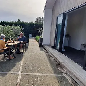 https://willow-view.wellingtonnzhotels.com